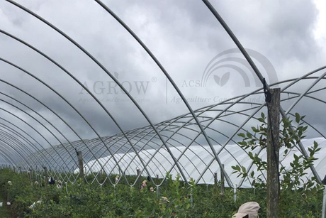 Multi-Bay Poly Tunnel Hoop House