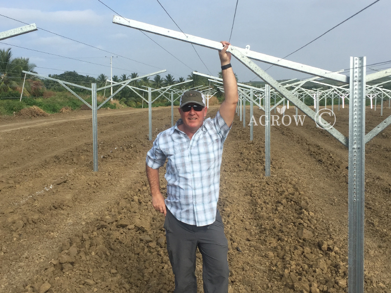 AGROW VINEYARD TRELLIS SYSTEM Ecudor Project