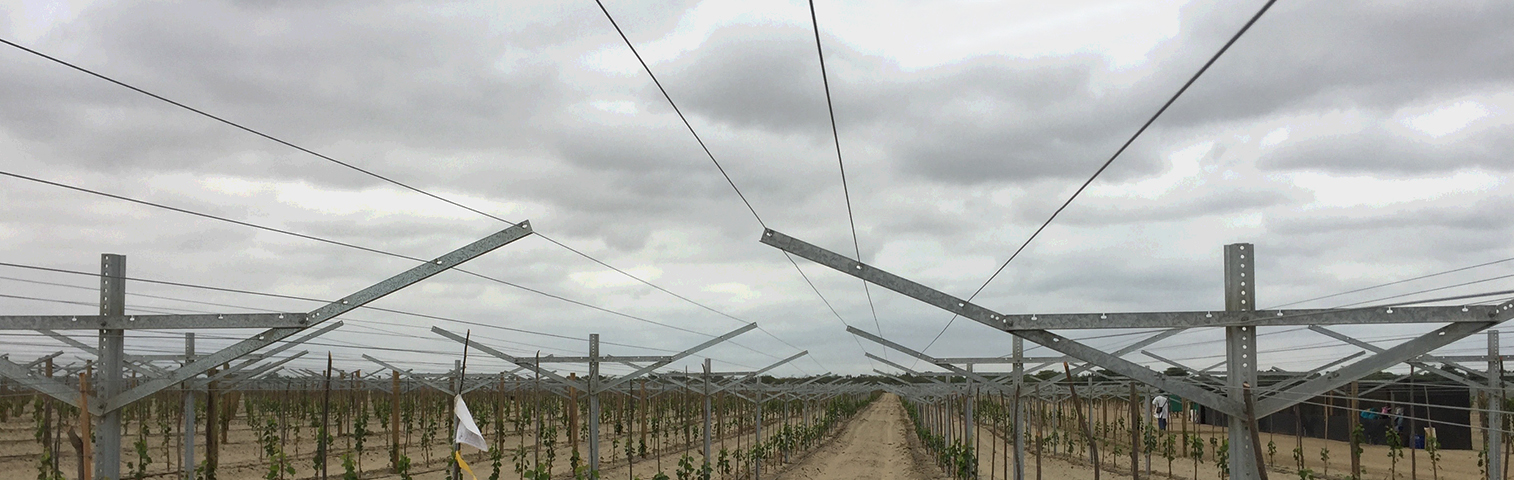 Expert of Agriculture Steel Structures