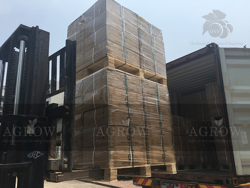 AGROW Grape Bags Peru 2015 Shipment