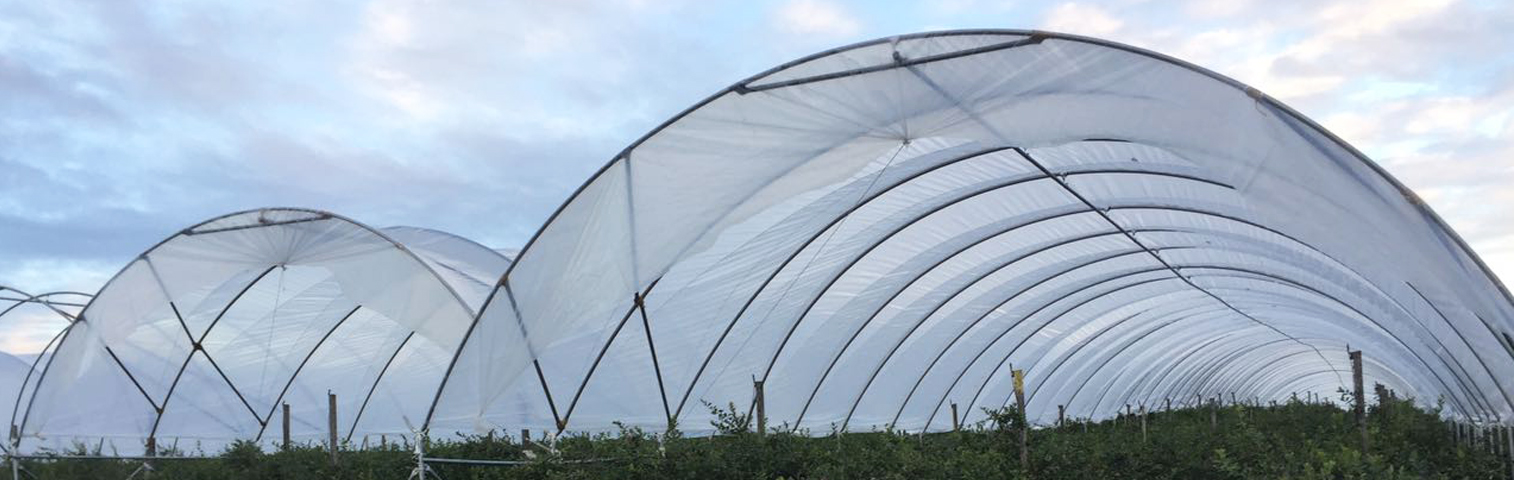 One-stop Source from Steels to Plastics